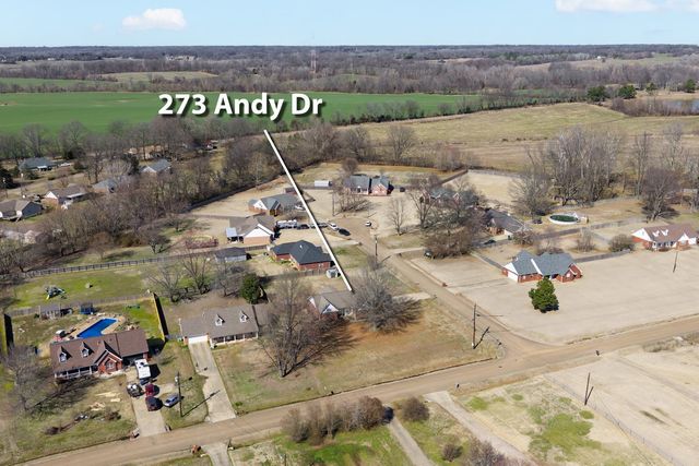 273 ANDY DR, Drummonds, TN 38023