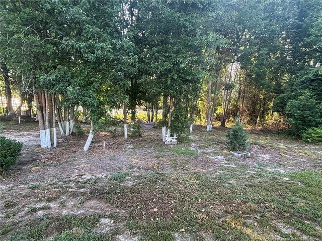 168 Placid Pond Drive, Broadway, NC 27505