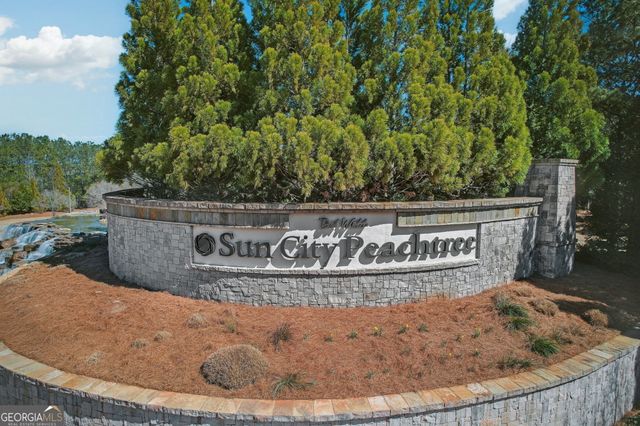 621 Larch Looper Drive, Griffin, GA 30223