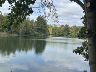 8601 N. Island Drive, Canadian Lakes, MI 49346