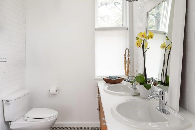 1017 Milam PL, Austin, TX 78704