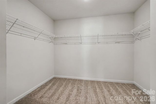 10631 Bradstreet Commons Way, Charlotte, NC 28215