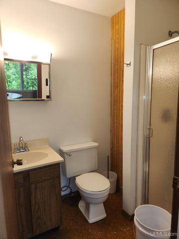 1035 Ethel Avenue, Hancock, MI 49930