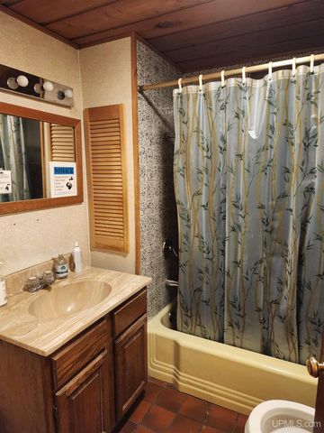 1035 Ethel Avenue, Hancock, MI 49930