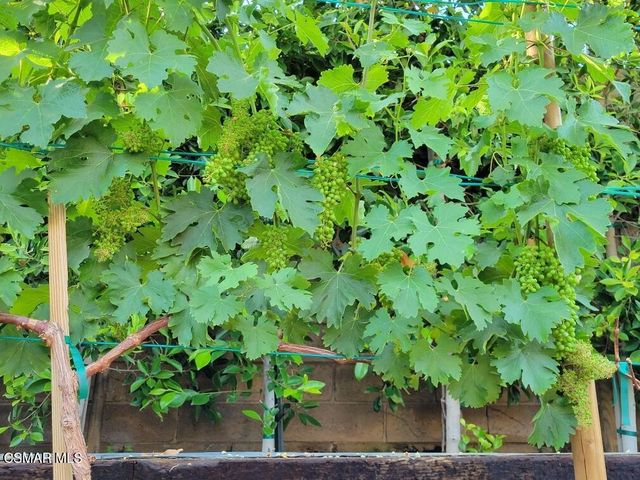 5019 Corral Street, Simi Valley, CA 93063