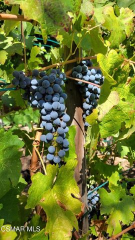 5019 Corral Street, Simi Valley, CA 93063