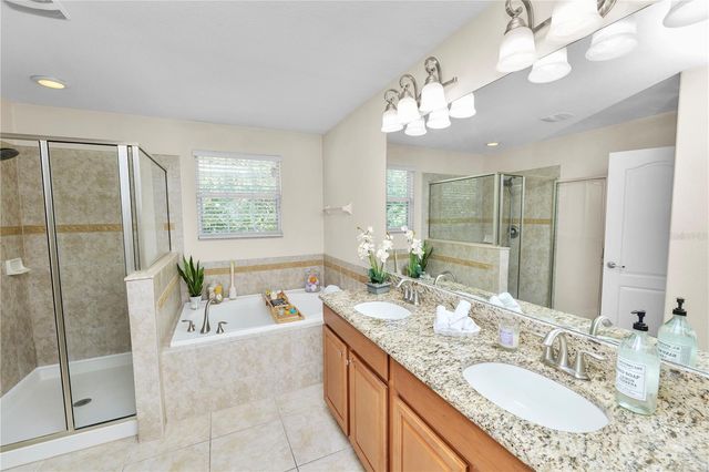 10615 LUCAYA DRIVE, Tampa, FL 33647