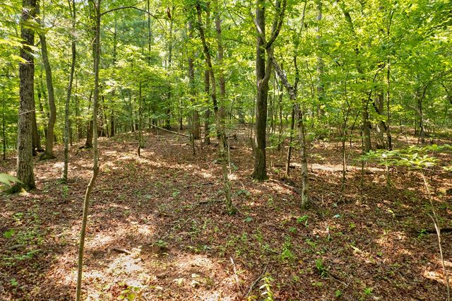0 Shady Lane, Mineral Bluff, GA 30559