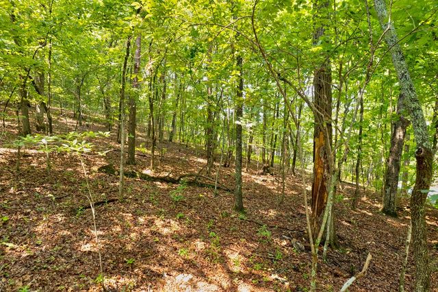 0 Shady Lane, Mineral Bluff, GA 30559