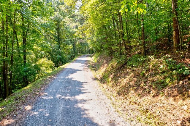 0 Shady Lane, Mineral Bluff, GA 30559