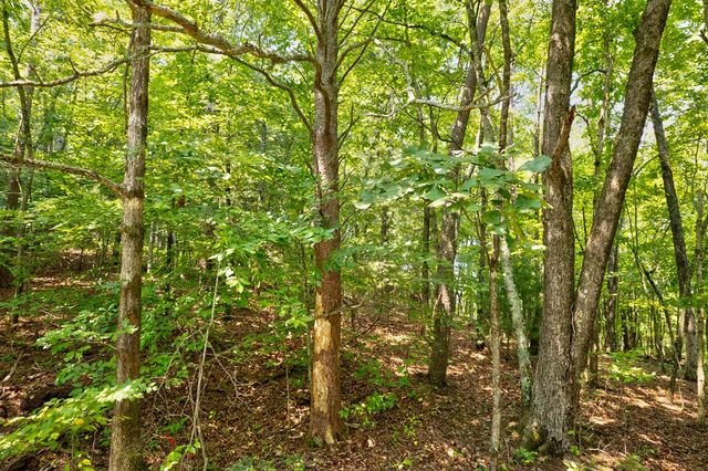 0 Shady Lane, Mineral Bluff, GA 30559