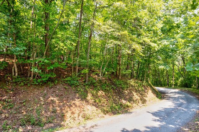 0 Shady Lane, Mineral Bluff, GA 30559