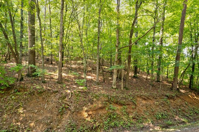 0 Shady Lane, Mineral Bluff, GA 30559