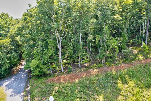 0 Shady Lane, Mineral Bluff, GA 30559