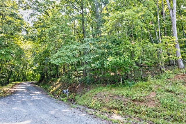 0 Shady Lane, Mineral Bluff, GA 30559