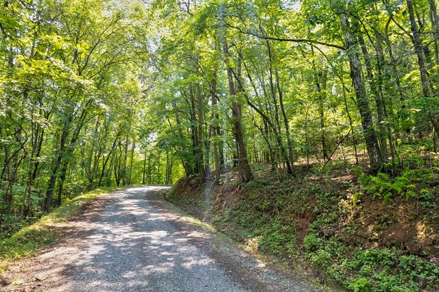 0 Shady Lane, Mineral Bluff, GA 30559