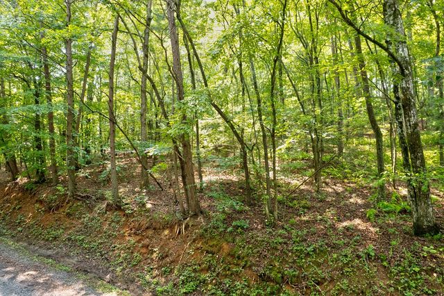 0 Shady Lane, Mineral Bluff, GA 30559