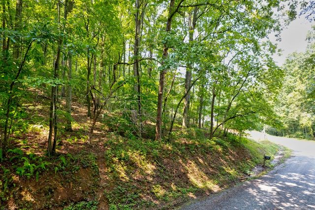 0 Shady Lane, Mineral Bluff, GA 30559