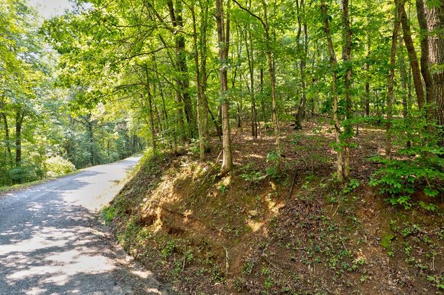 0 Shady Lane, Mineral Bluff, GA 30559