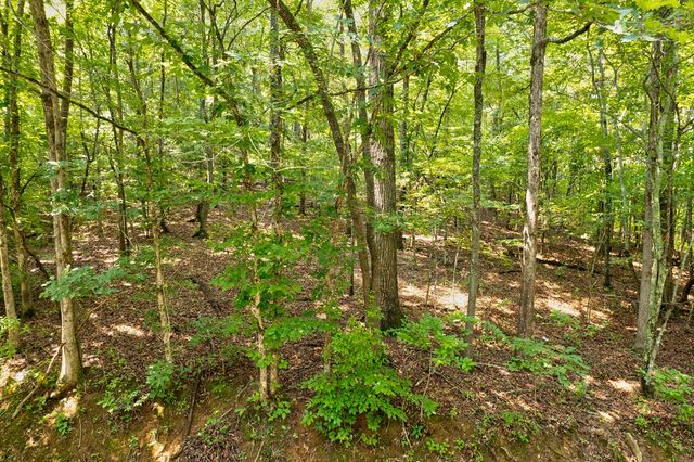 0 Shady Lane, Mineral Bluff, GA 30559