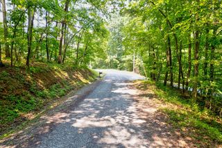 0 Shady Lane, Mineral Bluff, GA 30559