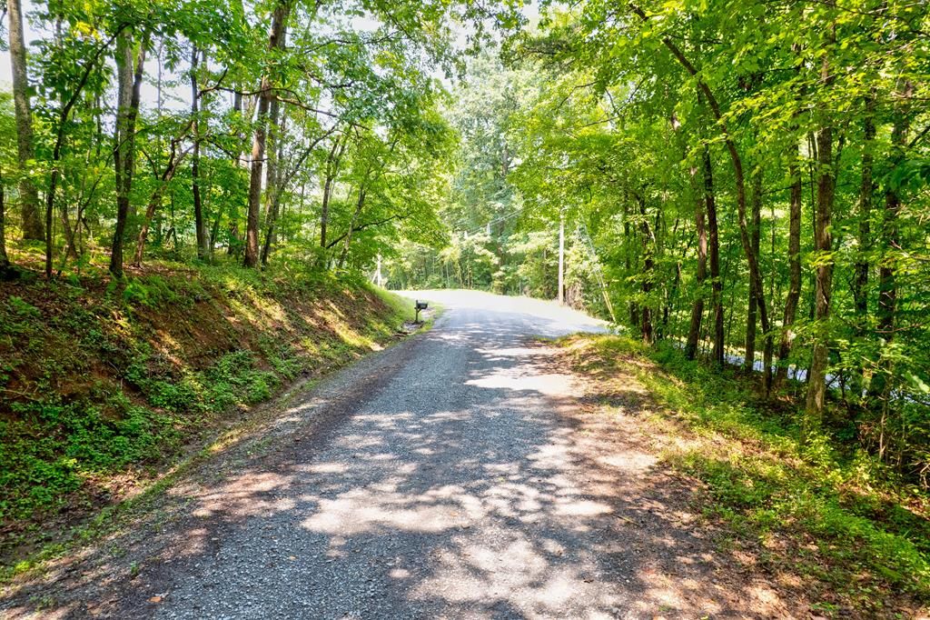 0 Shady Lane, Mineral Bluff, GA 30559