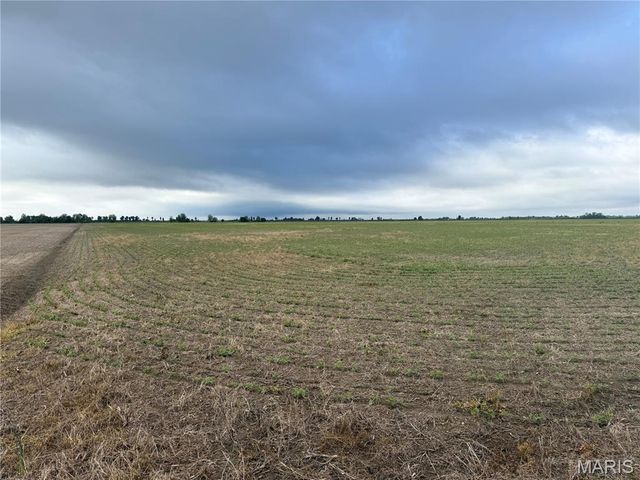 0 County Road 406, Hayti, MO 63851