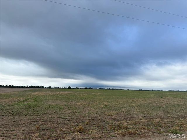 0 County Road 406, Hayti, MO 63851