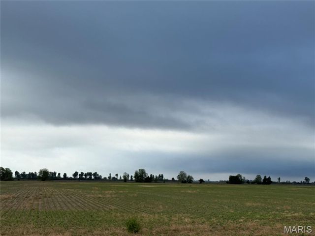 0 County Road 406, Hayti, MO 63851