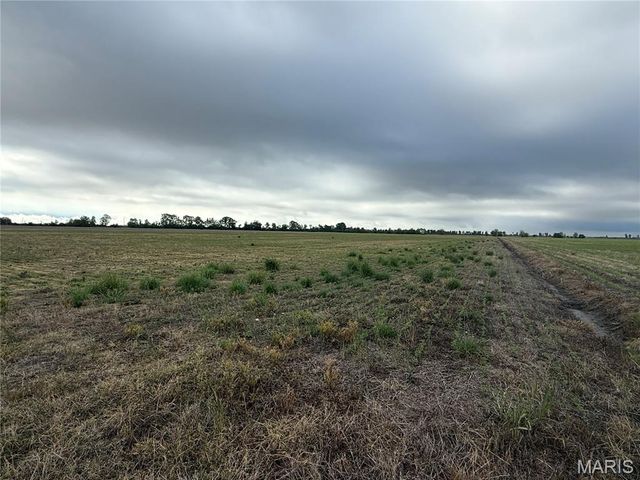 0 County Road 406, Hayti, MO 63851