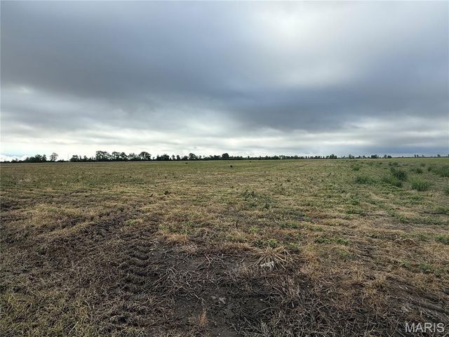 0 County Road 406, Hayti, MO 63851