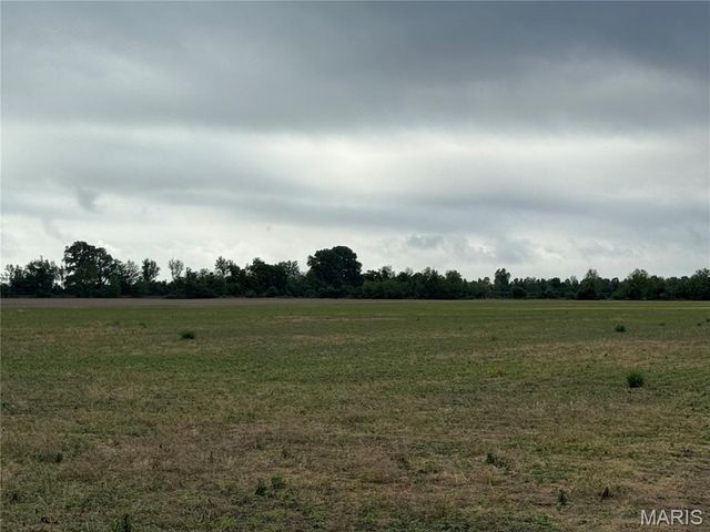 0 County Road 406, Hayti, MO 63851