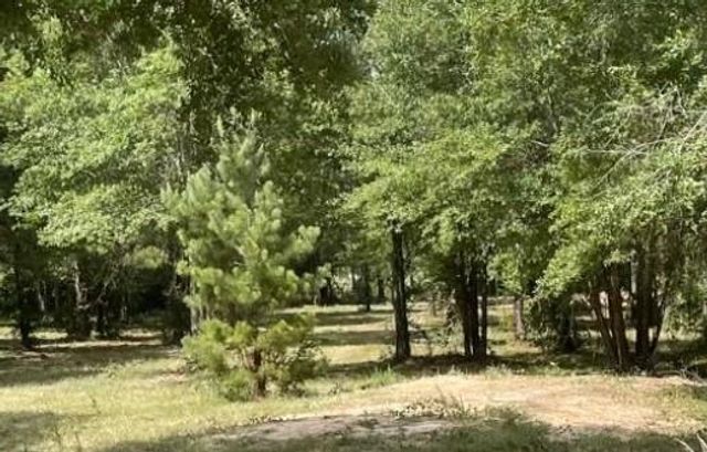 502 County Road 3408, Cleveland, TX 77327