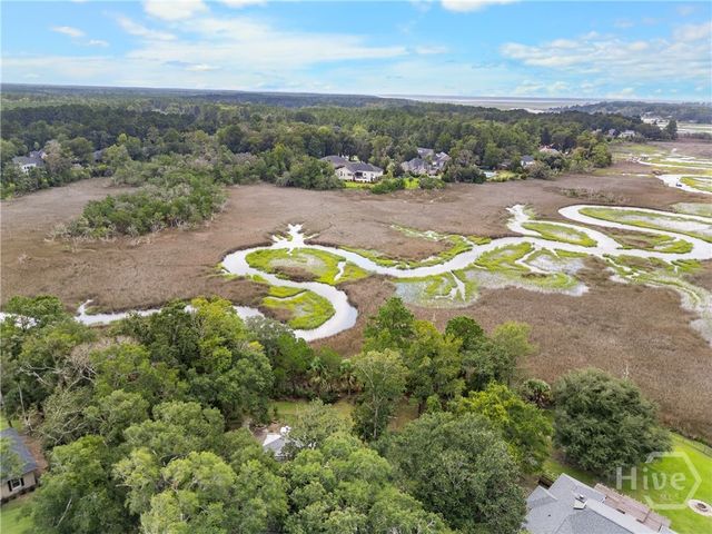 115 Magnolia Marsh Drive, Richmond Hill, GA 31324