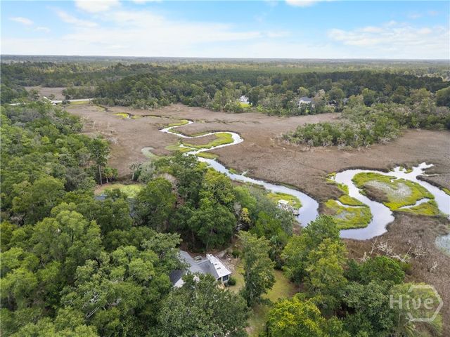 115 Magnolia Marsh Drive, Richmond Hill, GA 31324