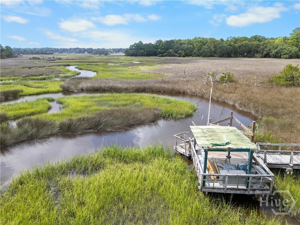 115 Magnolia Marsh Drive, Richmond Hill, GA 31324
