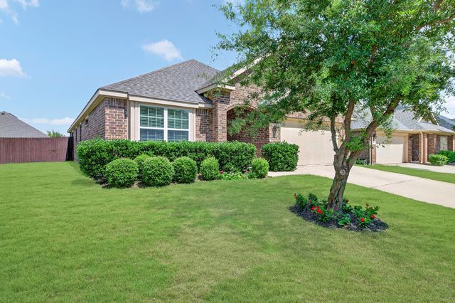 2409 Michelle Creek Drive, Little Elm, TX 75068