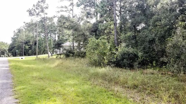 8844 N LILY DRIVE, Citrus Springs, FL 34434