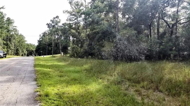 8844 N LILY DRIVE, Citrus Springs, FL 34434