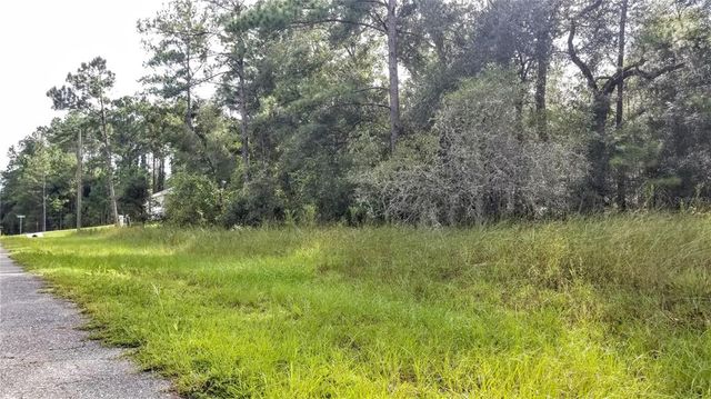 8844 N LILY DRIVE, Citrus Springs, FL 34434