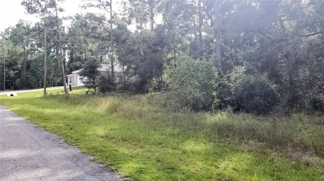 8844 N LILY DRIVE, Citrus Springs, FL 34434