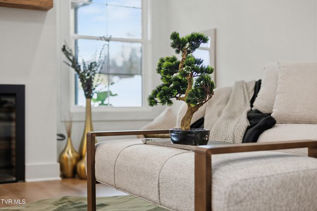 1521 Carroll Creek Road, Johnson City, TN 37615