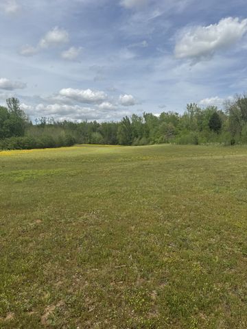 0 Birdwell Cemetery Rd, Buena Vista, TN 38318