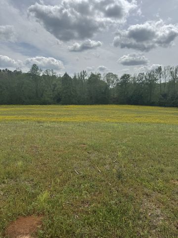 0 Birdwell Cemetery Rd, Buena Vista, TN 38318