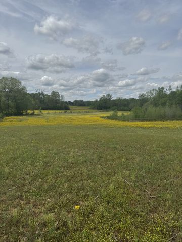 0 Birdwell Cemetery Rd, Buena Vista, TN 38318