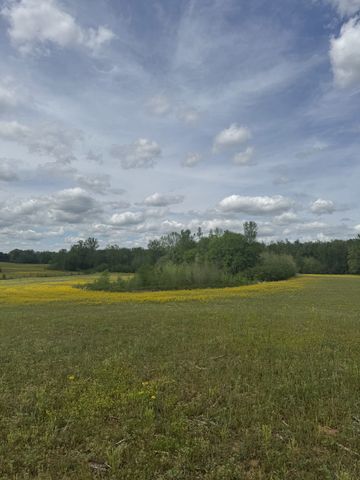 0 Birdwell Cemetery Rd, Buena Vista, TN 38318