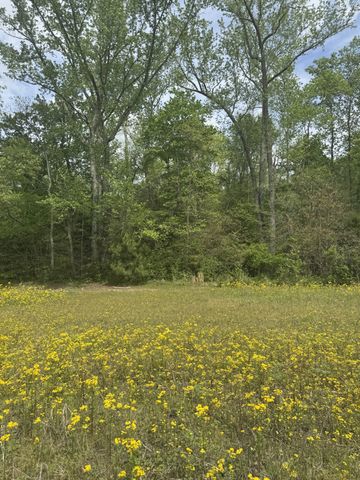 0 Birdwell Cemetery Rd, Buena Vista, TN 38318