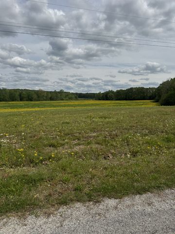 0 Birdwell Cemetery Rd, Buena Vista, TN 38318