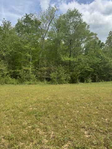 0 Birdwell Cemetery Rd, Buena Vista, TN 38318