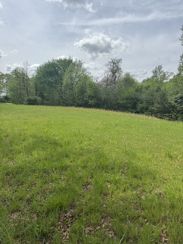 0 Birdwell Cemetery Rd, Buena Vista, TN 38318